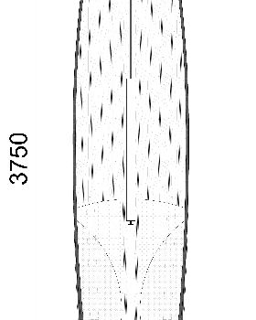 Raceboard-Model