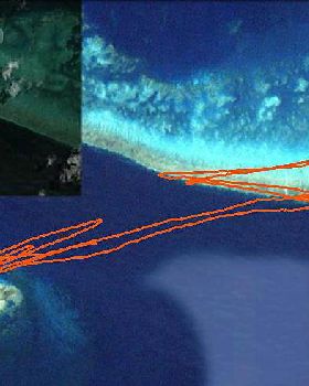 GPS Track