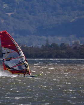 Illawarra-3
