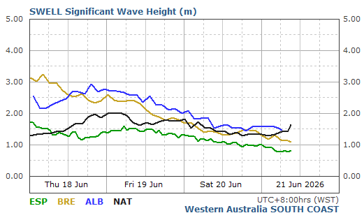 South Coast Live Wave/Swell Report