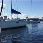 benateau281