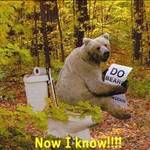 Bog