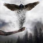 Dragontry