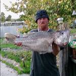 goanfishin
