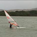 Laonyx