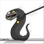 Leech