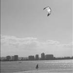 Sunshinesurf