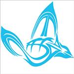 thekitefoil