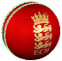 TheUmpire