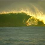 timboards
