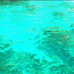 trade winds