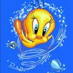 tweety
