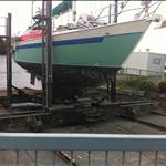Windsong38