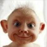 wingnut2443