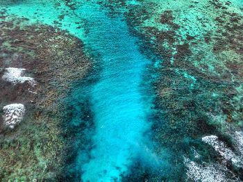 A SUP Fishman's Paradise in Belize - Stand Up Paddle News