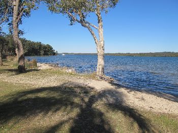 Fishing bans LIFTED from Newcastle Region - Fishing News