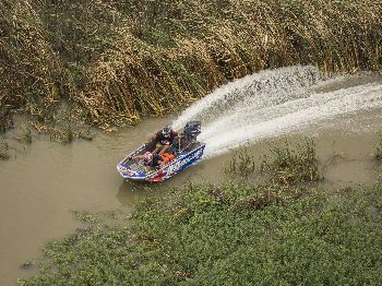 Insane Tinnie Racing on the Murray River - Power Boats News