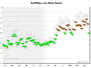 Brown Shorts (Damaging Winds) in Sydney - Kitesurfing News