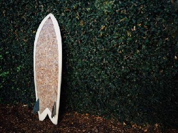 Surfboard made from 10,000 Cigarette Butts - Surfs Great! - Surfing News
