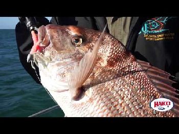 The Halco Mad Eyes - Fishing News