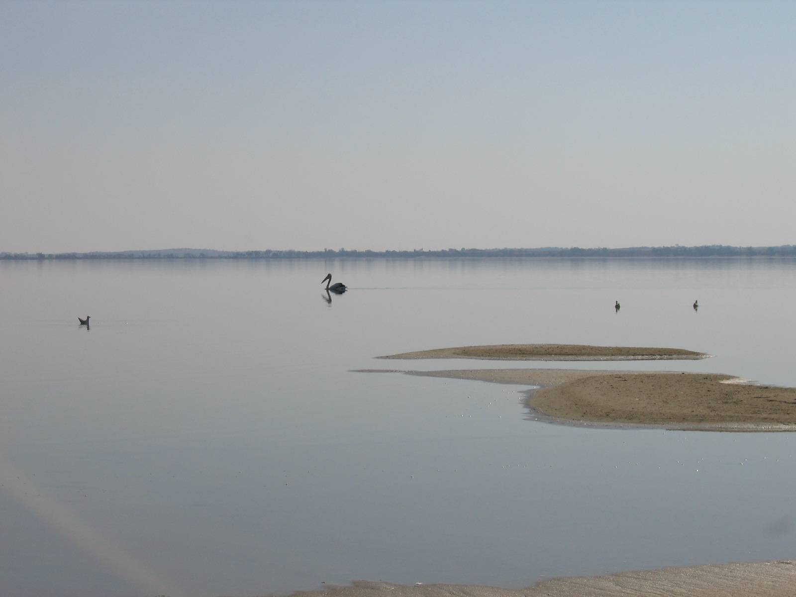 Lake Bonney