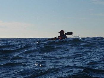 Whale watching on an ocean racing ski - Cruising News