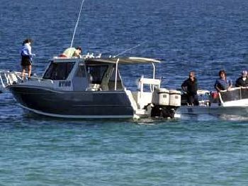 Man taken by shark at Port Kennedy, WA - Fishing News