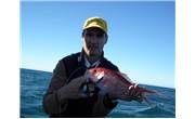 What fish is that?! Books to help identify fish species - Fishing Articles
