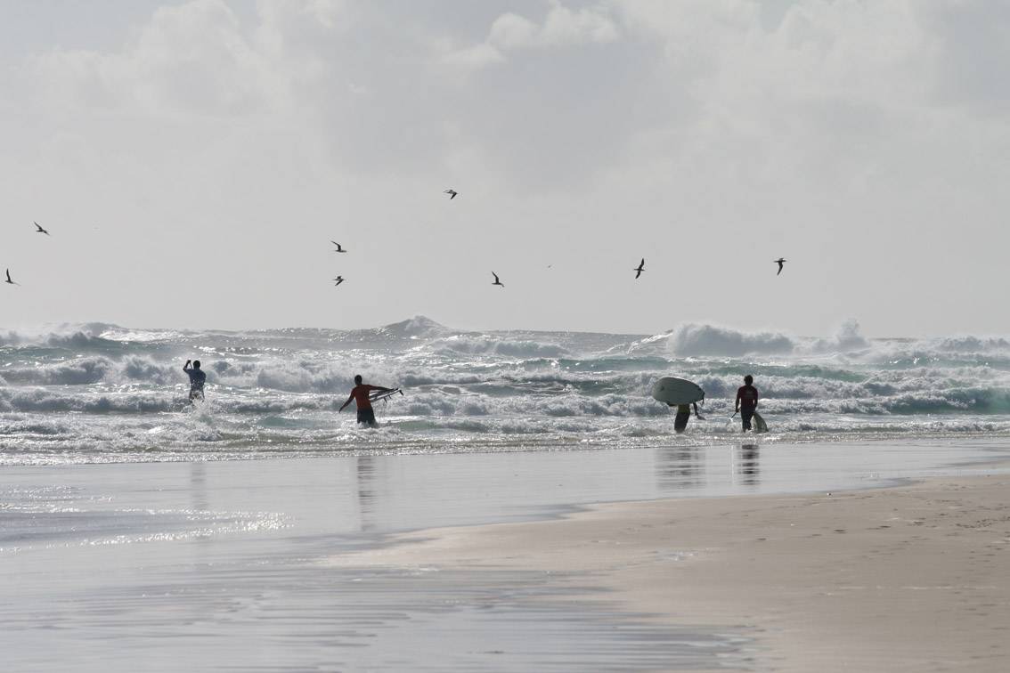 Stand Up Paddle - Malfunction Surf Festival