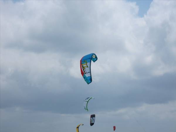 North Rebel 2011 Kite