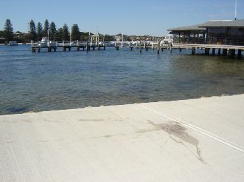 Fishing 101: Easy Steps to Growing Your Fishing Knowledge