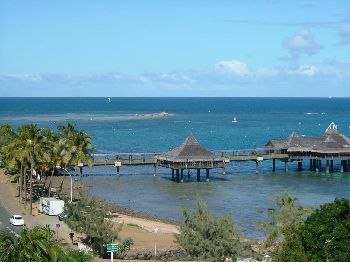 Kitesurfer Killed by Shark in New Caledonia. - Kitesurfing News