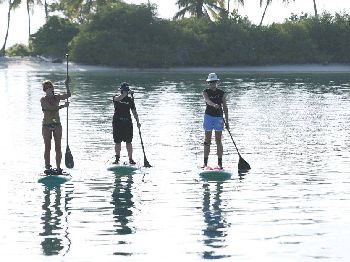 Vandals target Noosa Stand Up Paddle School - Stand Up Paddle News