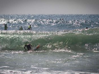 Huge swell no match for the Paddle to Battle MS - Stand Up Paddle News