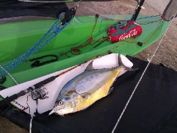 Weta Fishing - Fishing News