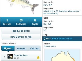 Catchability launches free iPhone app for Aussie fishos - Fishing News