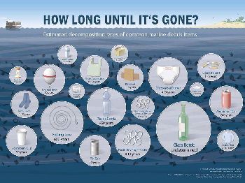 How long until it's gone? - Sailing News