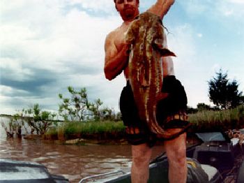 What on earth is noodling? (Hand Fishing) - Fishing News