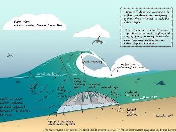 Worlds First Inflatable Reef to be installed in Perth - Surfing News