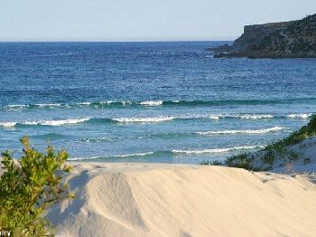 Shark attack in South Australia claims a surfers leg. - Surfing News