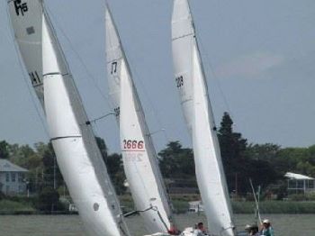 The little guys at Hamilton Island Race Week. - Sailing News