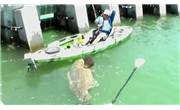 Shrieking with glee - 200kg Goliath Grouper in a Kayak - Fishing News